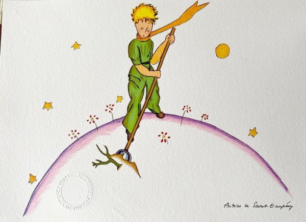 Маленький принц уборка на планете арт