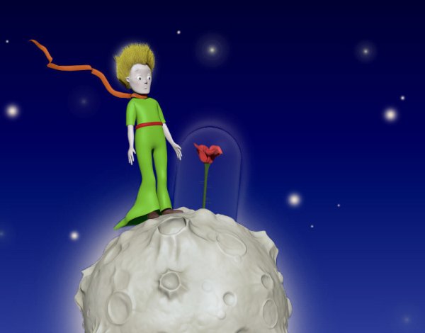 Проект маленький принц