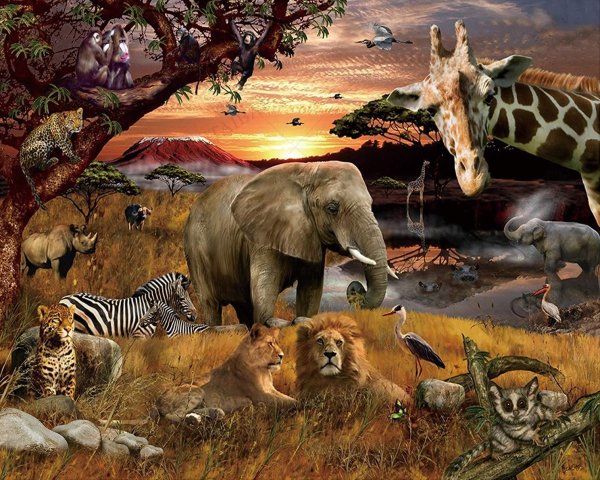 Животные земли