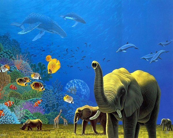 Разнообразный мир животных