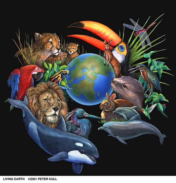 Обитатели планеты