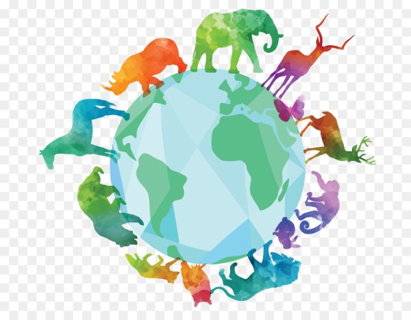 Биологическое разнообразие