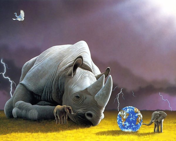 Животные планеты