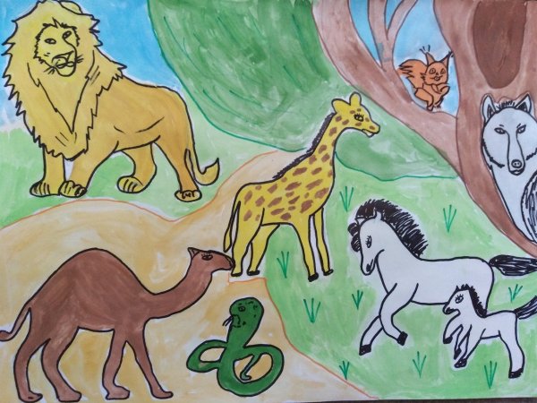 Животные нашей планеты рисунок