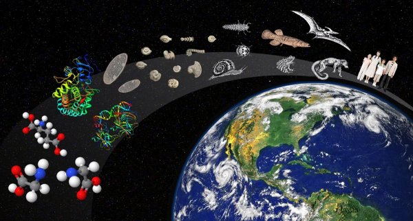 Жизнь на земле зародилась