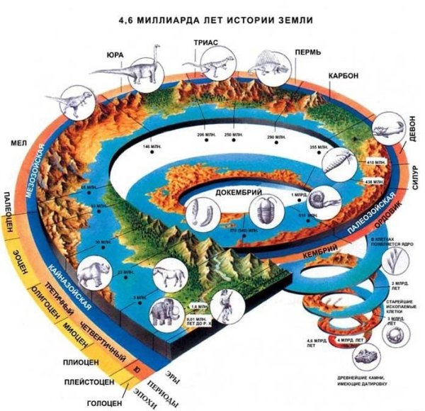 Спираль развития жизни на земле