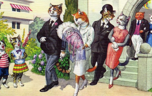 Планета кошек