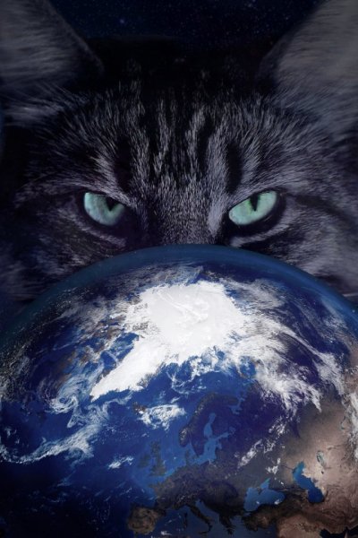 Планета котов