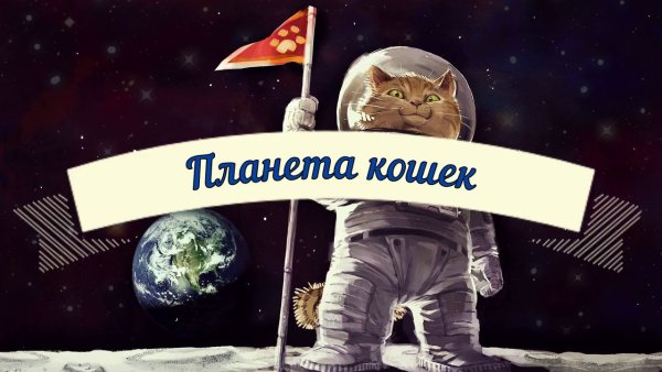 Кошачья Планета