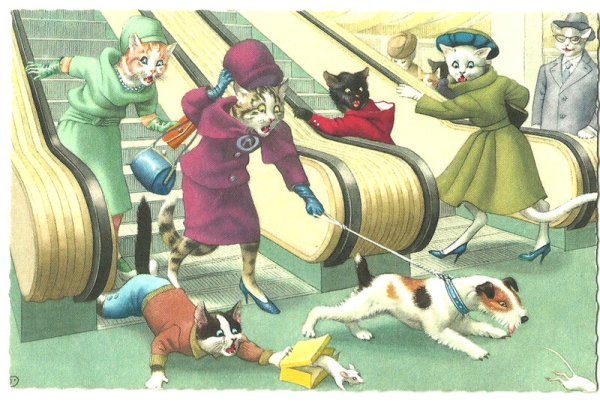 Альфред Майнзер кошки