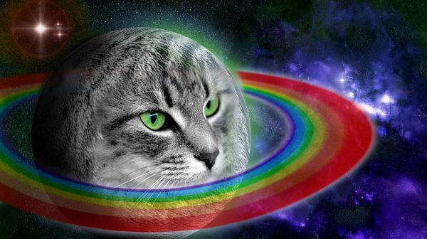 Кот Планета