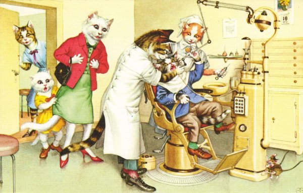 Коты хирурги