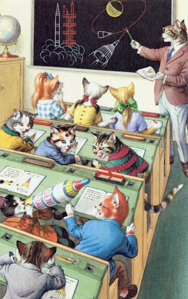 Кот учитель