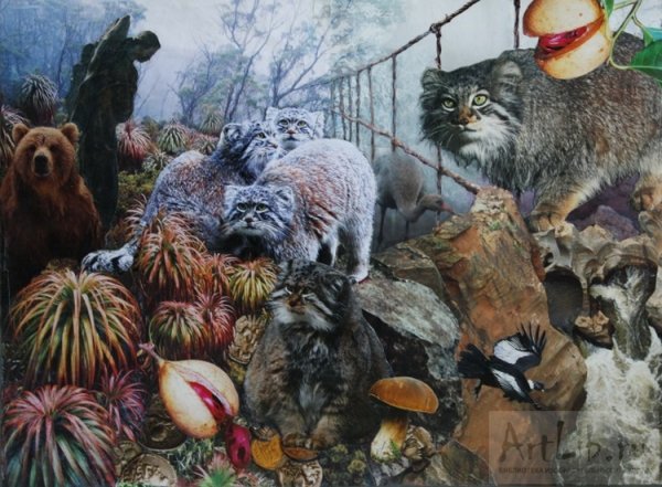 Планета кошек