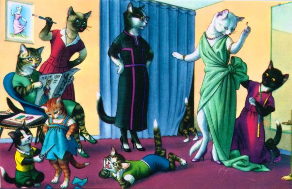 Планета кошек