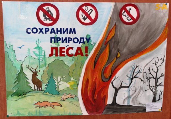Плакат защита природы