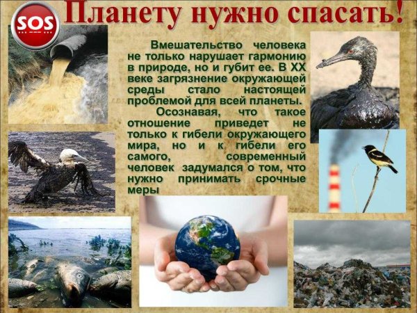 Охрана природы человеком