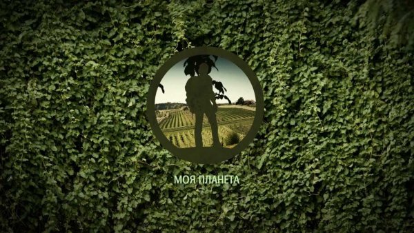 Моя Планета
