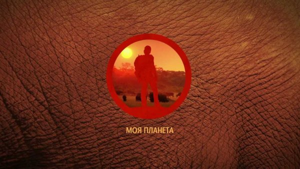 Моя Планета моя Планета