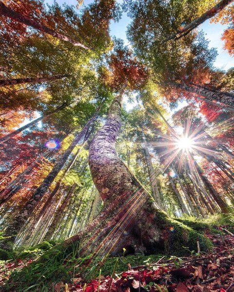 Природа любовь и красота