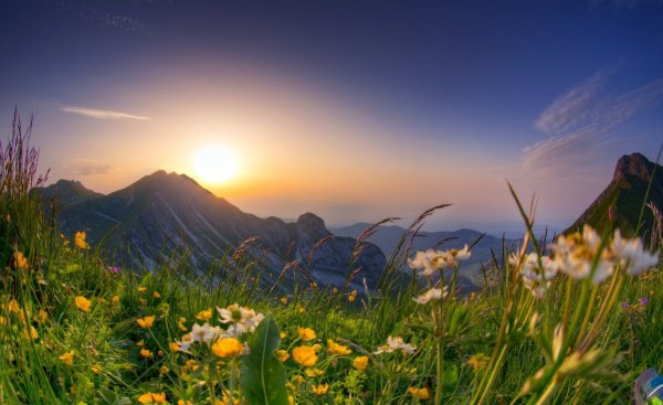 Альпийские Луга закат Швейцария