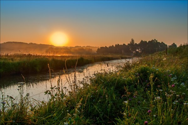 Красивое утро