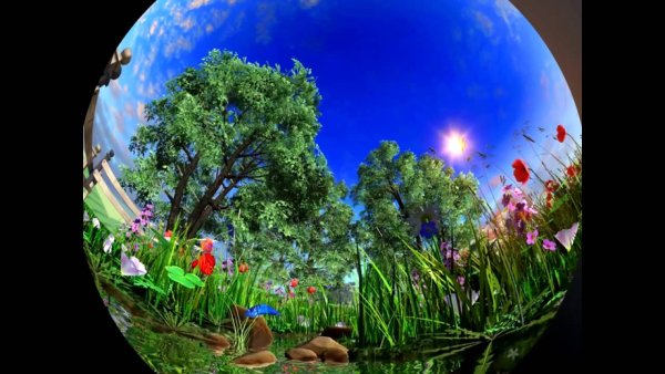 Цветущая Планета