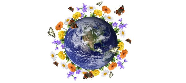 Земля Планета с цветами