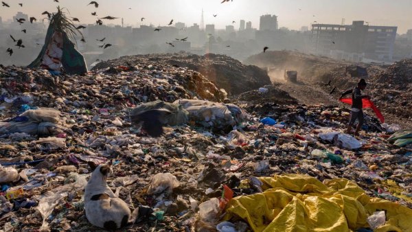 Египет мусорный полигон