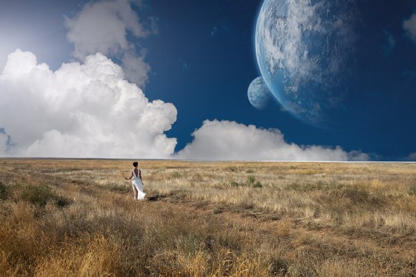 Луна в поле