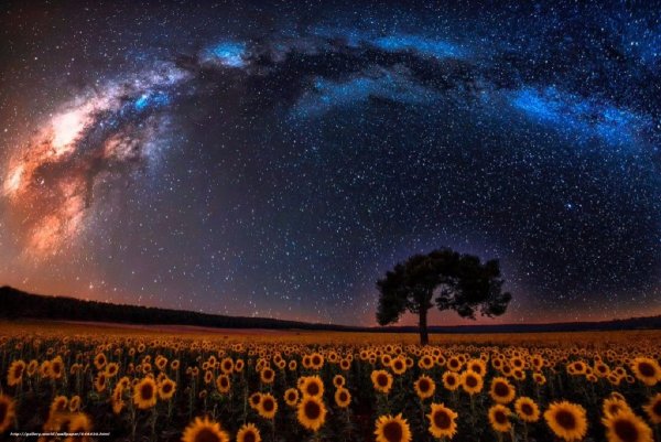 Звездное небо