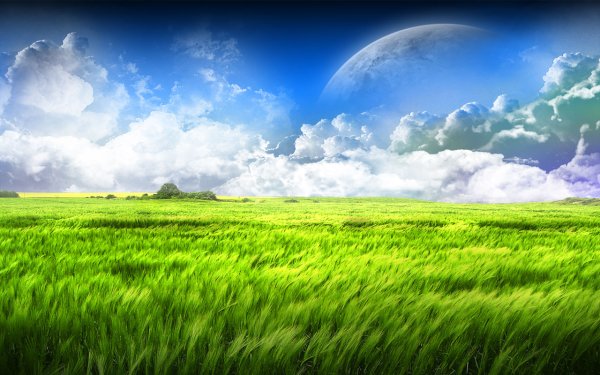 Зелёное поле арт