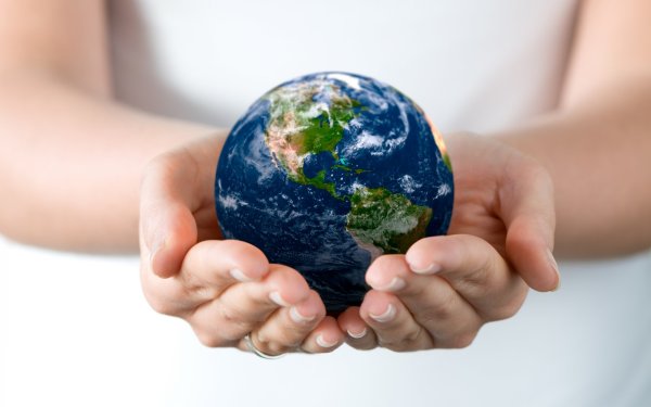 Мир экологии