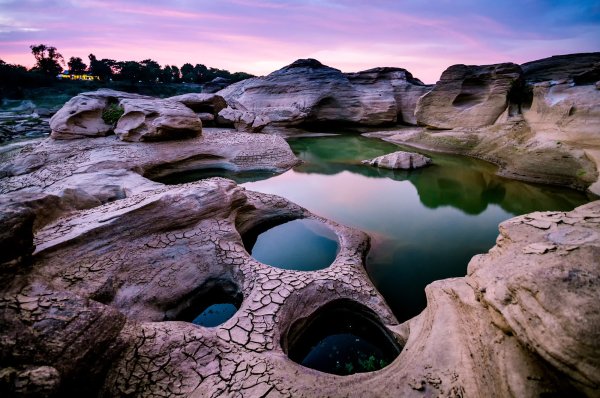 Удивительная природа