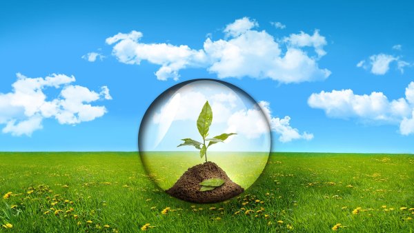 Экология чистота