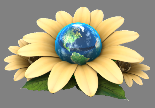 Цветы вид с земли