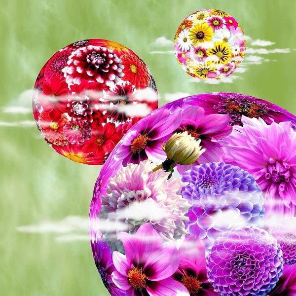 Планета цветов