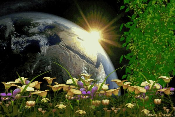 Живая Планета