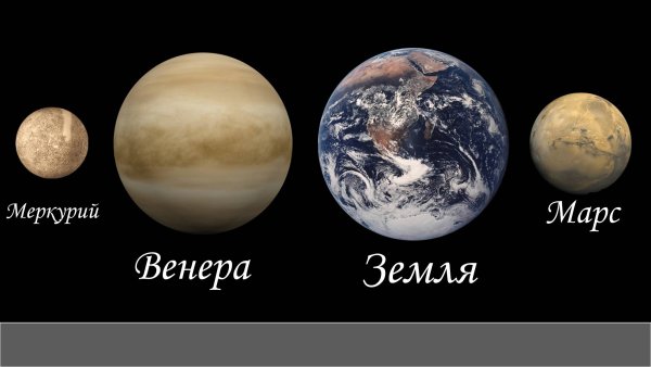 Марс 2029