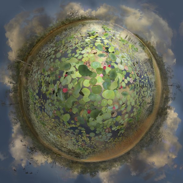 Кэтрин Нельсон