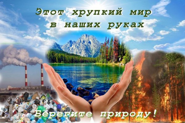 Любите и берегите природу