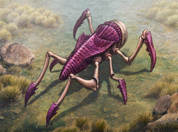 Фантастические насекомые