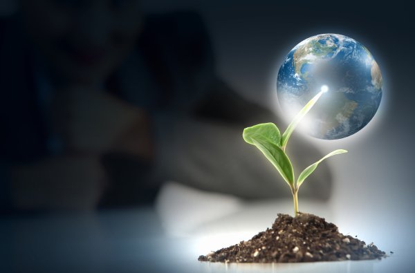 Земля Планета и Росток