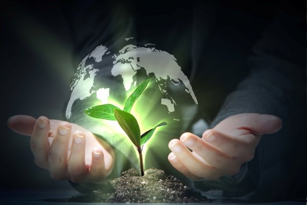 Цветок с землей в руках