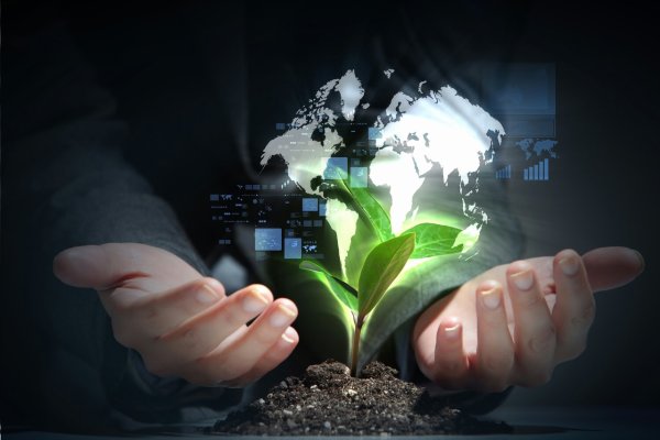 Окружающая среда