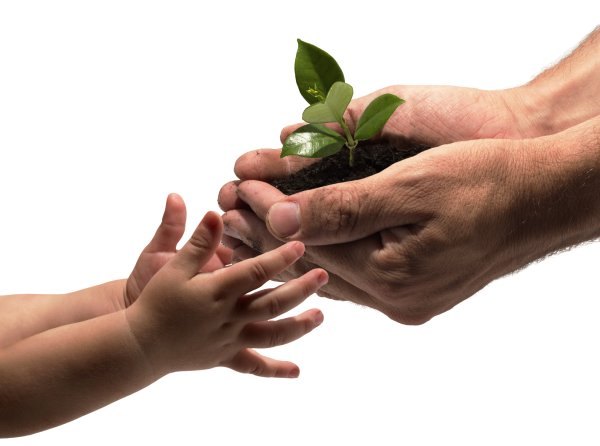 Росток в руках