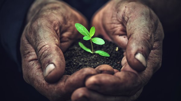 Спасибо за внимание почва