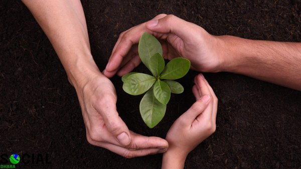 Ладони защищают цветы