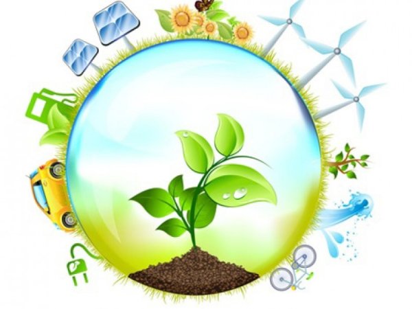 Эмблема по экологии