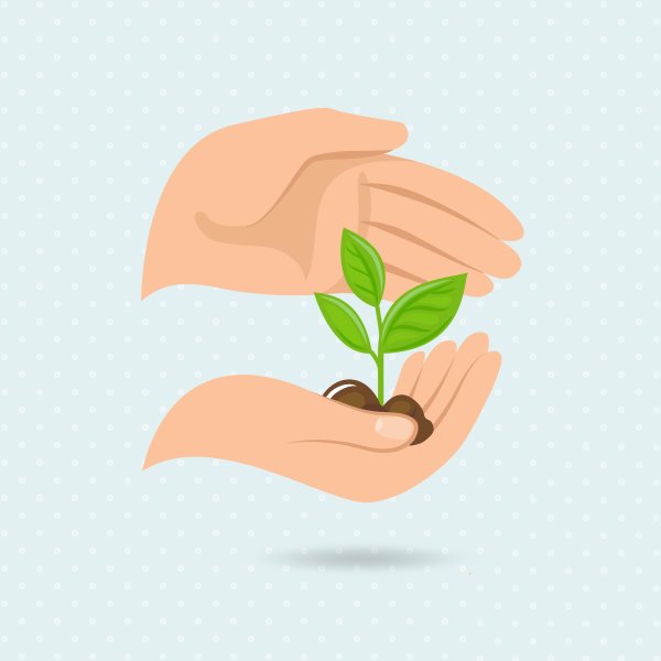 Росток в руках вектор